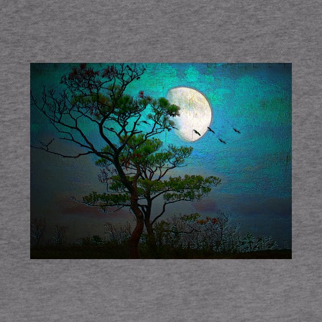 Moonlight by Susan Werby